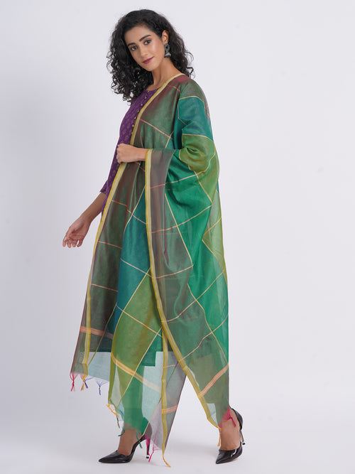 BANARSI CHANDERI DUPATTA